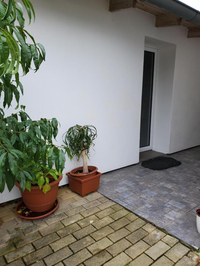 Apartman Stary Liskovec ブルノ エクステリア 写真